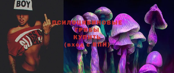 твердый Богородск