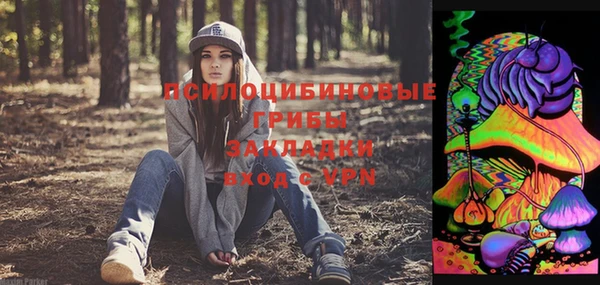 соль курить ск Богданович