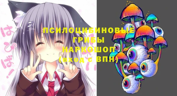 ПСИЛОЦИБИНОВЫЕ ГРИБЫ Белокуриха