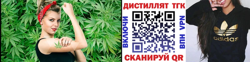 ТГК Wax  Кораблино 