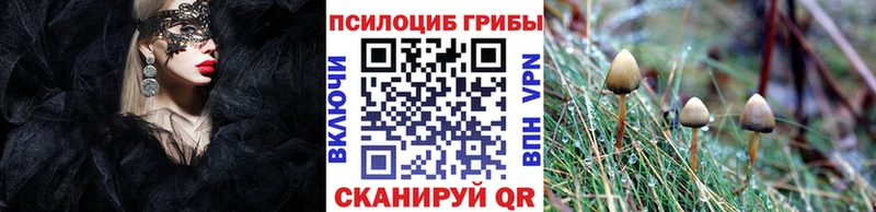 Псилоцибиновые грибы MAGIC MUSHROOMS Кораблино